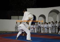 karate (76) (Αντιγραφή)